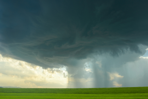 Avoid price gouging after a storm  